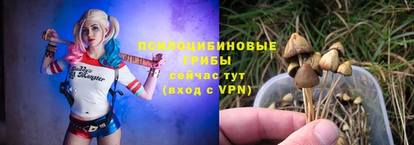 метадон Порхов