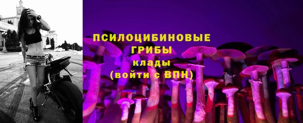 тгк Абаза