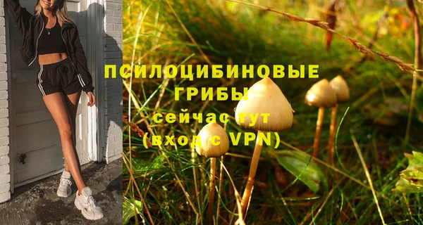 COCAINE Покров