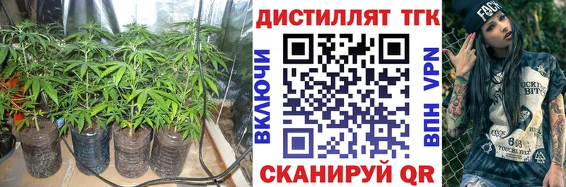 наркошоп mega ссылка ТГК концентрат Сольцы