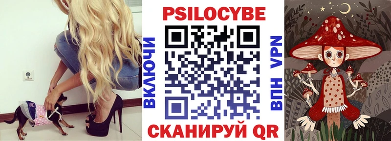Псилоцибиновые грибы Cubensis  Сольцы 